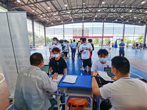 疫情影響下蔡甸職校生 從校門到廠門無縫對接，職業中介服務助力就業關